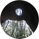 Sophie C. profile picture